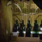 night-trap-3do-screenshot_0029_Layer 9